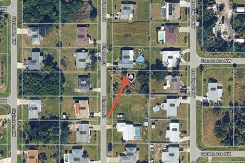 Land in Port Charlotte, Florida № 2161808 - photo 9