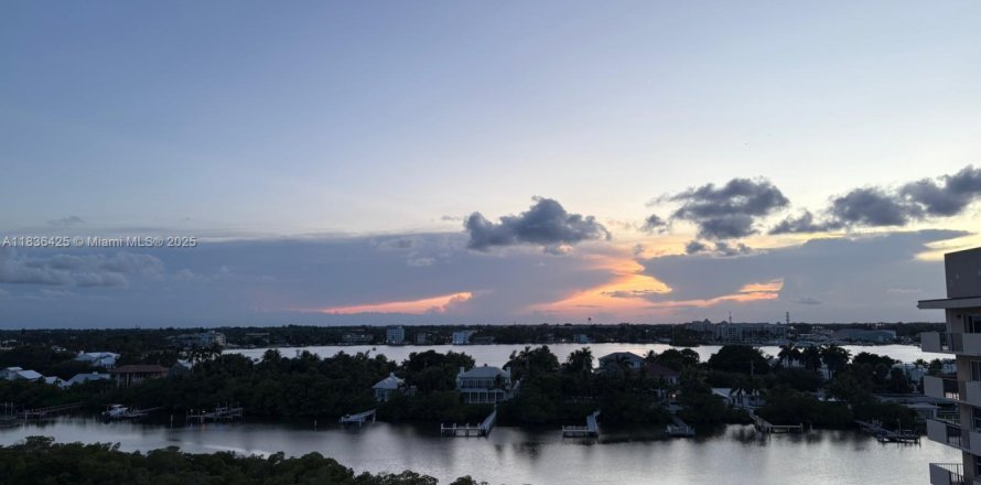Condo à South Palm Beach, Floride, 2 chambres № 1823503