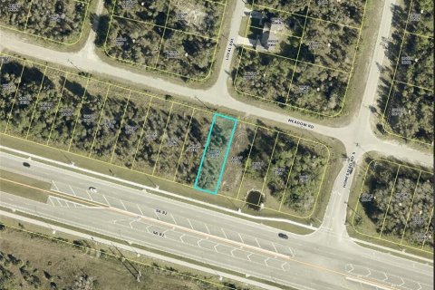 Land in Lehigh Acres, Florida № 1194667 - photo 1
