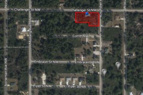 Terreno en venta en Lake Placid, Florida № 1936102 - foto 1