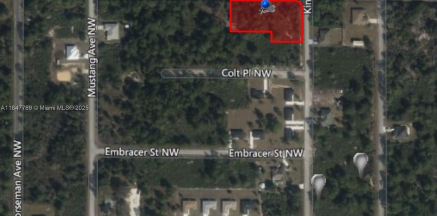 Terreno en Lake Placid, Florida № 1936102