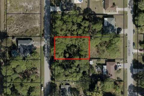 Land in Palm Bay, Florida № 2364024