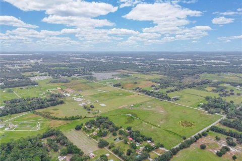 Land in Lakeland, Florida № 857961 - photo 10