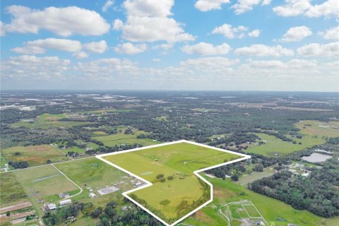 Land in Lakeland, Florida № 857961 - photo 22