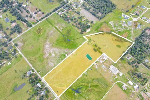Land in Lakeland, Florida № 857961 - photo 29