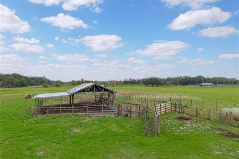 Land in Lakeland, Florida № 857961 - photo 17