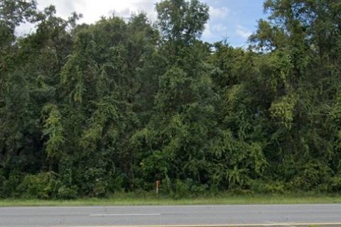 Land in Chiefland, Florida № 1555219 - photo 1