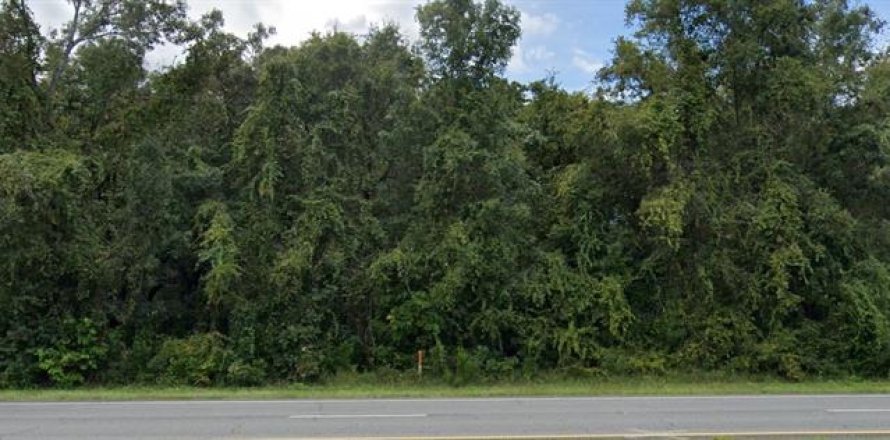 Land in Chiefland, Florida № 1555219