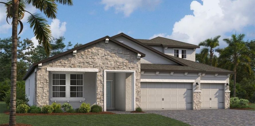 House in Wesley Chapel, Florida 5 bedrooms, 290.41 sq.m. № 1690630