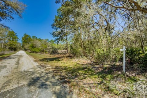 Land in Webster, Florida № 2228976 - photo 10