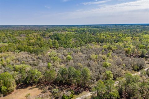 Land in Webster, Florida № 2228976
