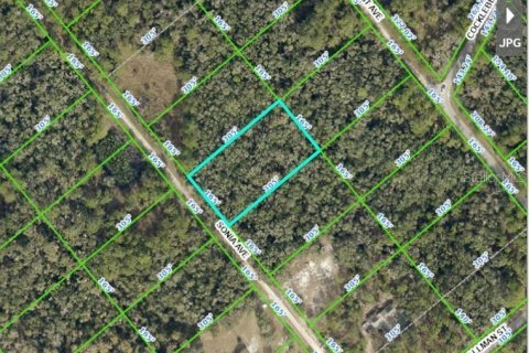 Land in Webster, Florida № 2228976 - photo 19