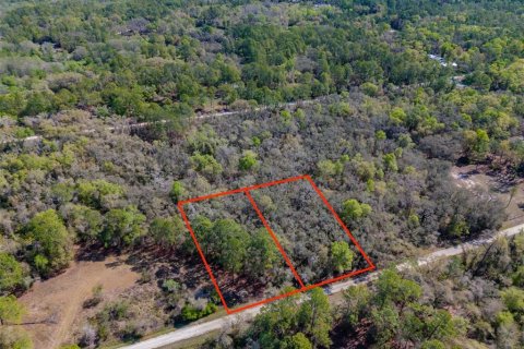 Land in Webster, Florida № 2228976 - photo 12
