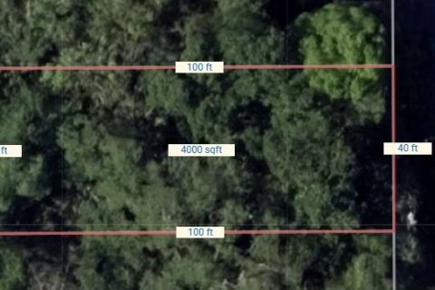 Land in Sanford, Florida № 2239851 - photo 2