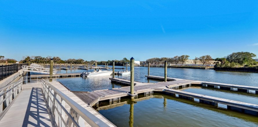 Land in Palm Coast, Florida № 865855