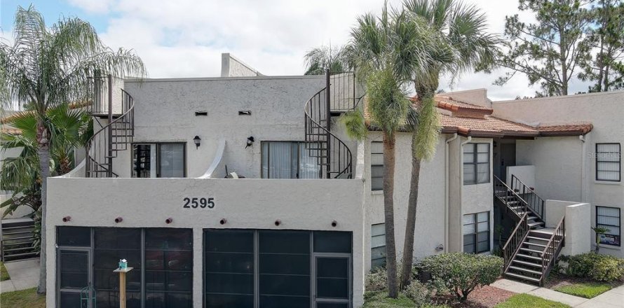 Condo in Palm Harbor, Florida, 2 bedrooms  № 2386746