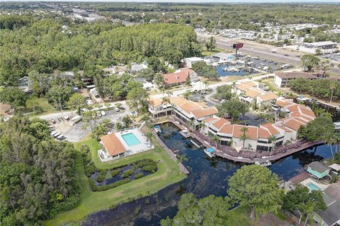 Condo in Palm Harbor, Florida, 2 bedrooms  № 2386746 - photo 29