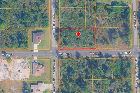 Land in Lehigh Acres, Florida № 2158955 - photo 2