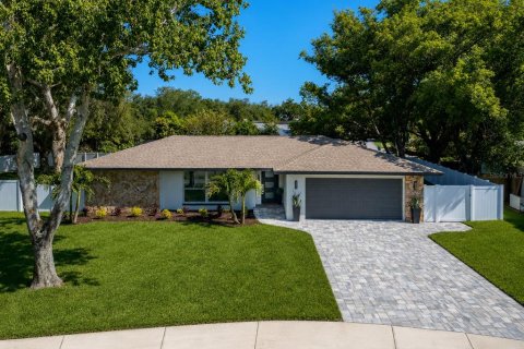 House in Dunedin, Florida 4 bedrooms, 186.73 sq.m. № 2287000