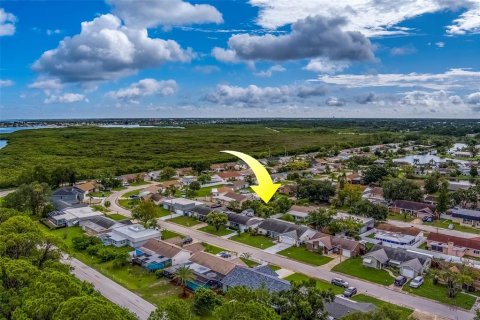 Land in Holiday, Florida № 1873310 - photo 17