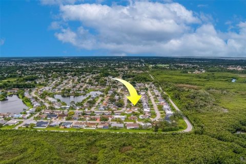 Land in Holiday, Florida № 1873310 - photo 14