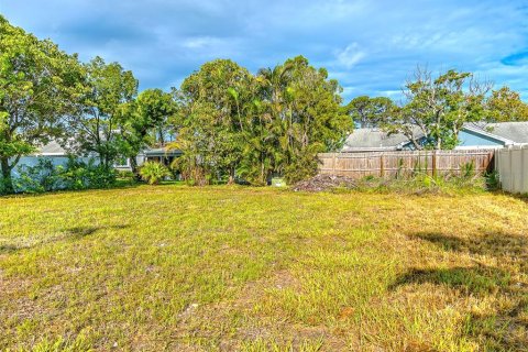 Land in Holiday, Florida № 1873310 - photo 5