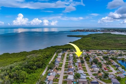 Land in Holiday, Florida № 1873310 - photo 2