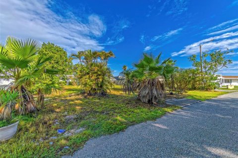 Land in Holiday, Florida № 1873310 - photo 12
