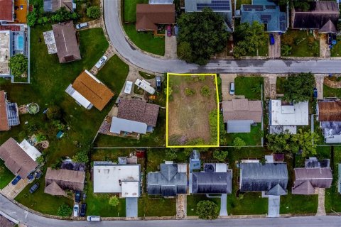 Land in Holiday, Florida № 1873310 - photo 4