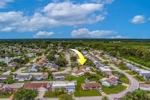 Land in Holiday, Florida № 1873310 - photo 20