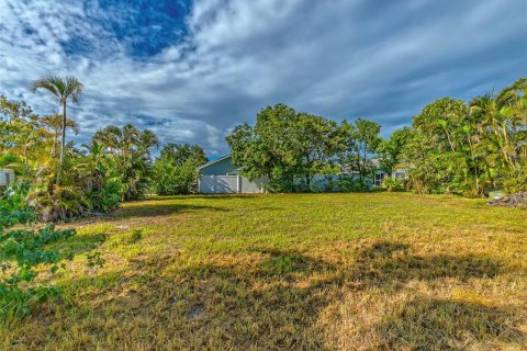 Land in Holiday, Florida № 1873310 - photo 9