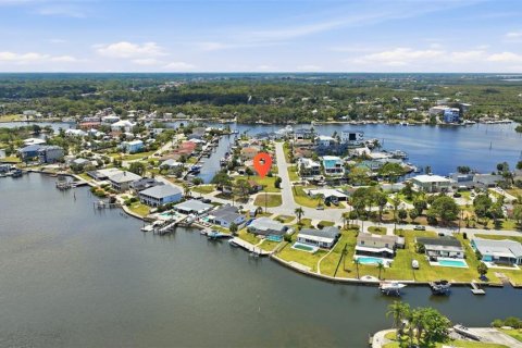 Land in Port Richey, Florida № 2206786 - photo 15