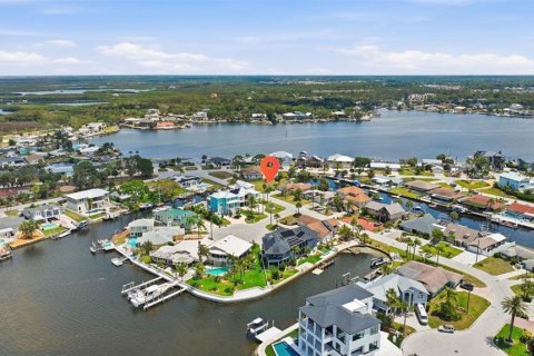 Land in Port Richey, Florida № 2206786 - photo 14