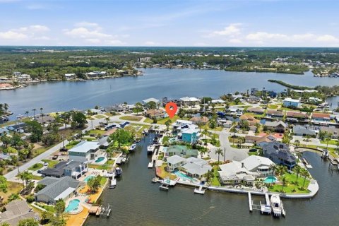 Land in Port Richey, Florida № 2206786 - photo 17