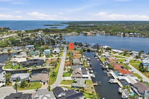 Land in Port Richey, Florida № 2206786 - photo 16