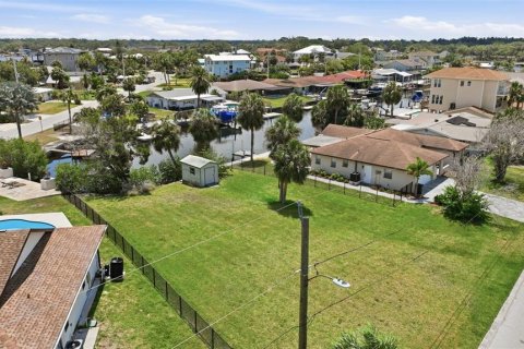 Land in Port Richey, Florida № 2206786 - photo 9