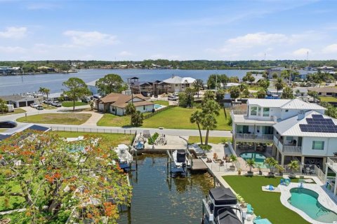 Land in Port Richey, Florida № 2206786 - photo 2