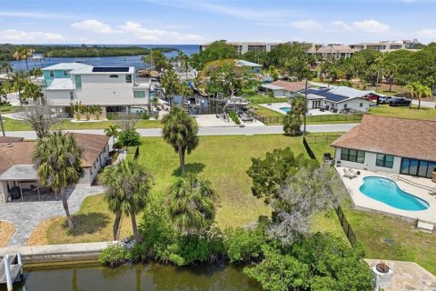 Land in Port Richey, Florida № 2206786 - photo 3