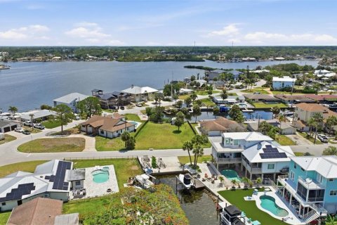 Land in Port Richey, Florida № 2206786 - photo 12