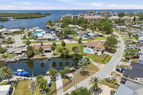 Land in Port Richey, Florida № 2206786 - photo 21