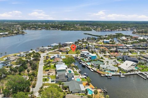 Land in Port Richey, Florida № 2206786 - photo 19