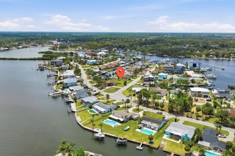 Land in Port Richey, Florida № 2206786 - photo 24