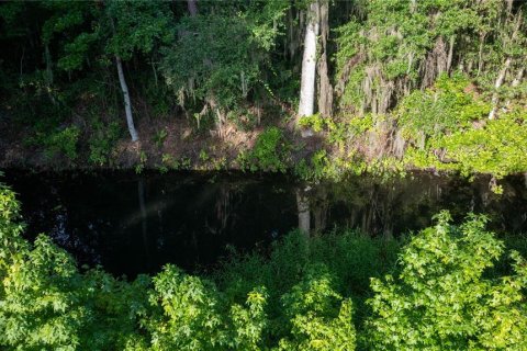 Land in Salt Springs, Florida № 1871140 - photo 4