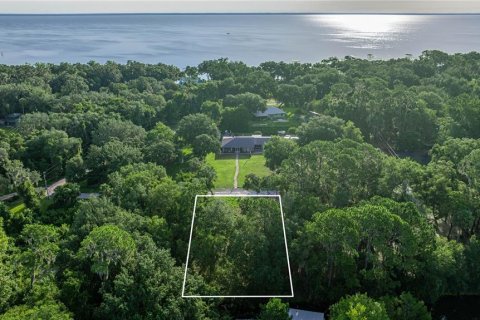 Land in Salt Springs, Florida № 1871140 - photo 1