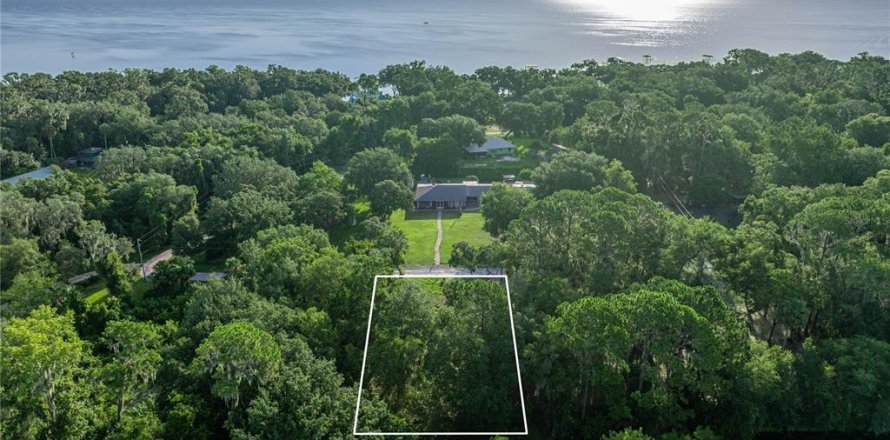 Land in Salt Springs, Florida № 1871140