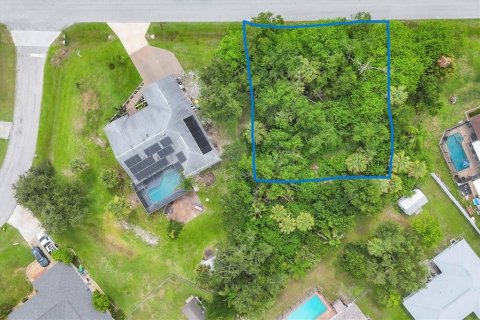 Land in Port Charlotte, Florida № 2212596 - photo 4