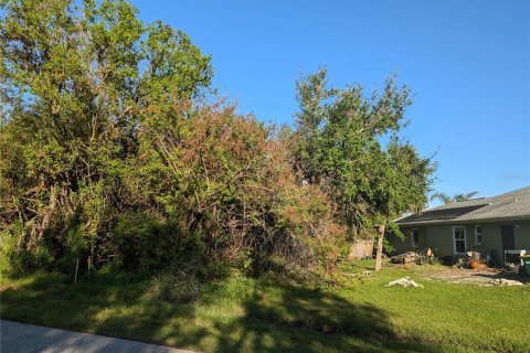 Land in Port Charlotte, Florida № 2212596 - photo 2