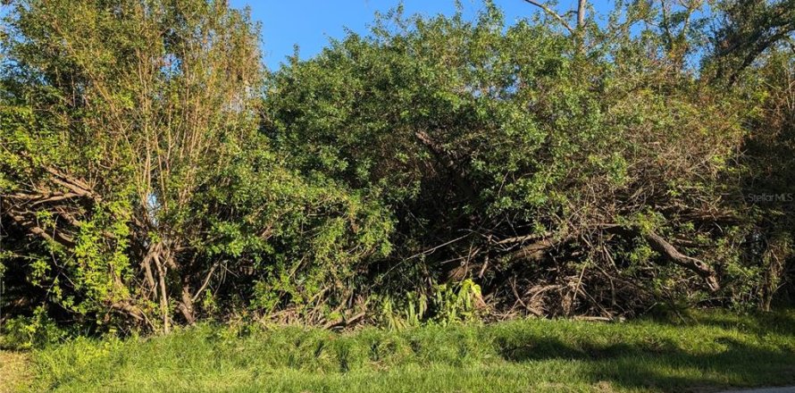 Land in Port Charlotte, Florida № 2212596