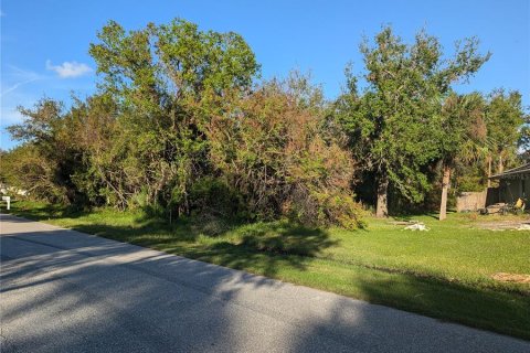 Land in Port Charlotte, Florida № 2212596 - photo 3