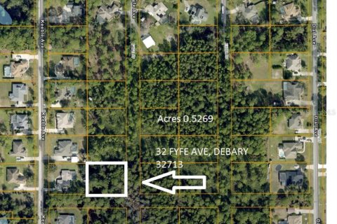 Terrain à DeBary, Floride № 2161372